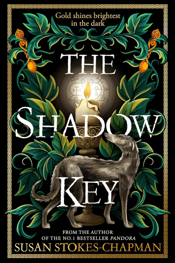 Graphic of The Shadow key by Susan stokes-chapmen book cover