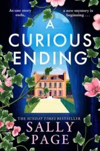 graphic of A Curious Ending by Sally Page book cover