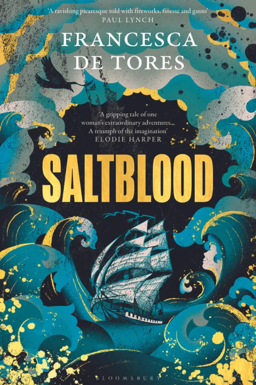 Graphic Saltblood by Francesca de Tores book cover suitable for pinterest