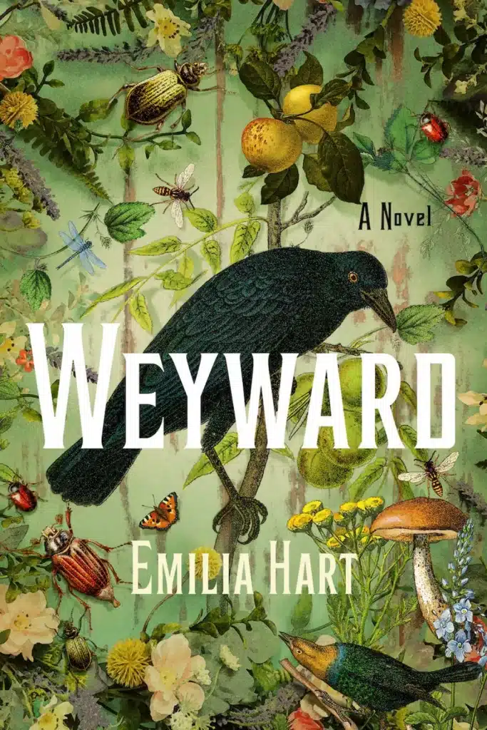 graphic of Weyward by Emilia Hart Book cover